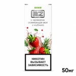 BZ (хвоя и клубника)